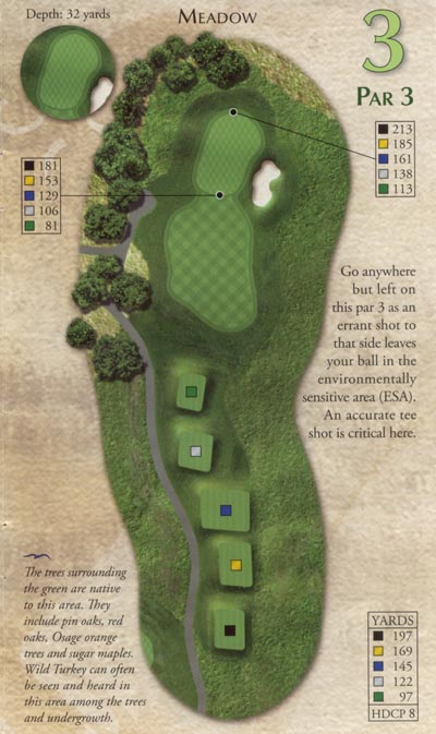 Meadow3par3