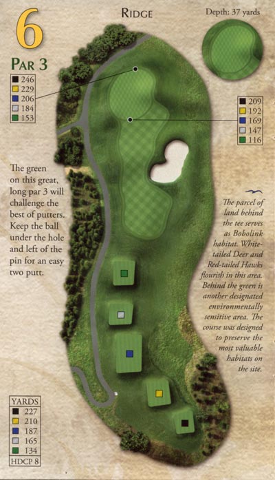 Ridge6par3